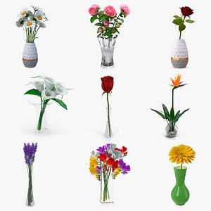 Flowers in Vases Collection 3