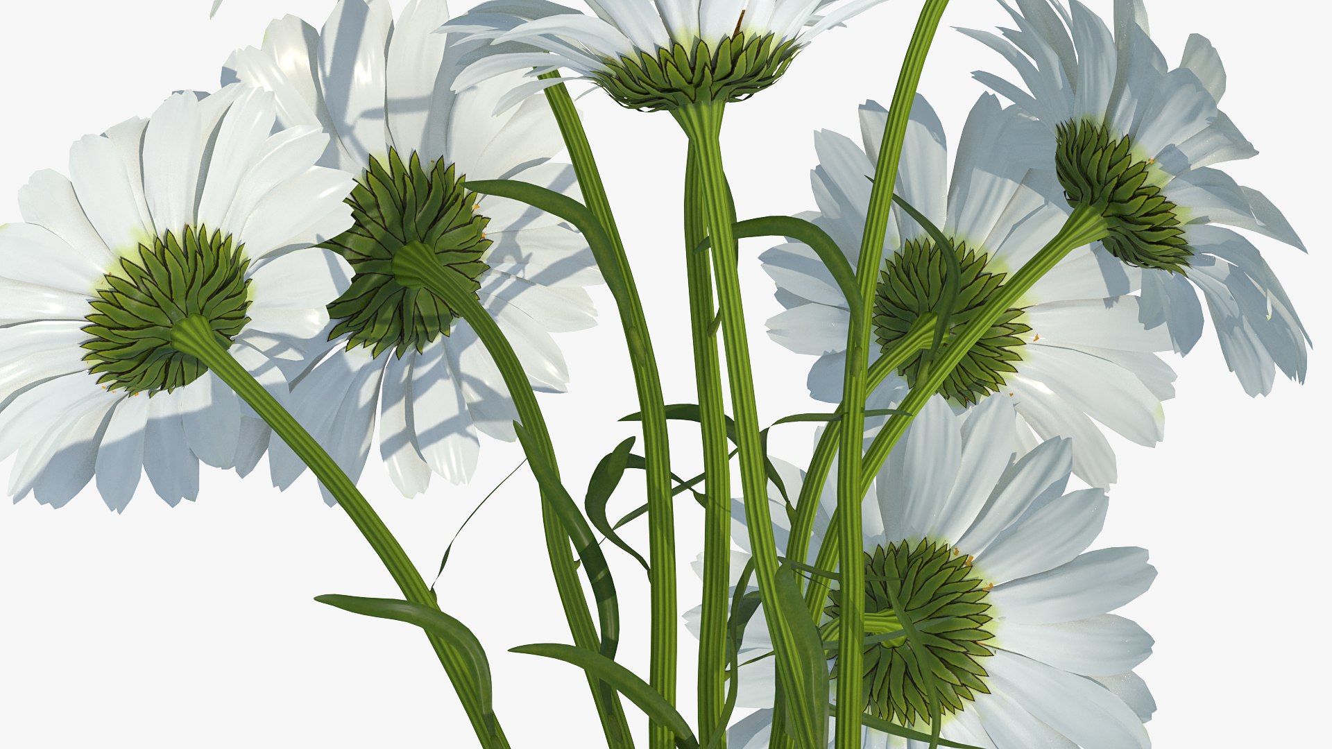 flowers vases 3 model https://p.turbosquid.com/ts-thumb/n2/beFfys/cXurfUTe/flowersinvasescollection33dmodel011/jpg/1600060751/1920x1080/fit_q87/e18d2d50fad3c621c2506ad1ffa7b21b60d22caf/flowersinvasescollection33dmodel011.jpg