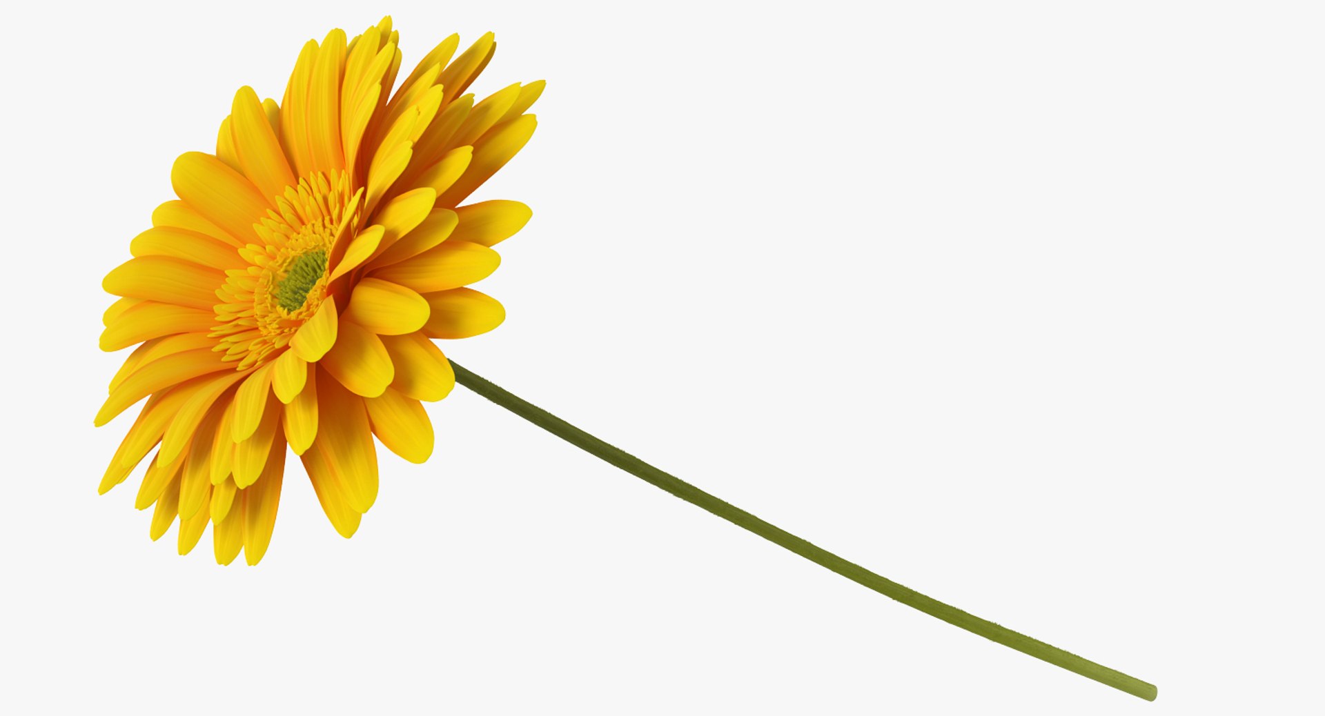 flowers vases 3 model https://p.turbosquid.com/ts-thumb/n2/beFfys/dDiQopQM/flowersinvasescollection33dmodel060/jpg/1600060877/1920x1080/fit_q87/9d5016fc37bc52b95874581c192f6d9c50db94f3/flowersinvasescollection33dmodel060.jpg
