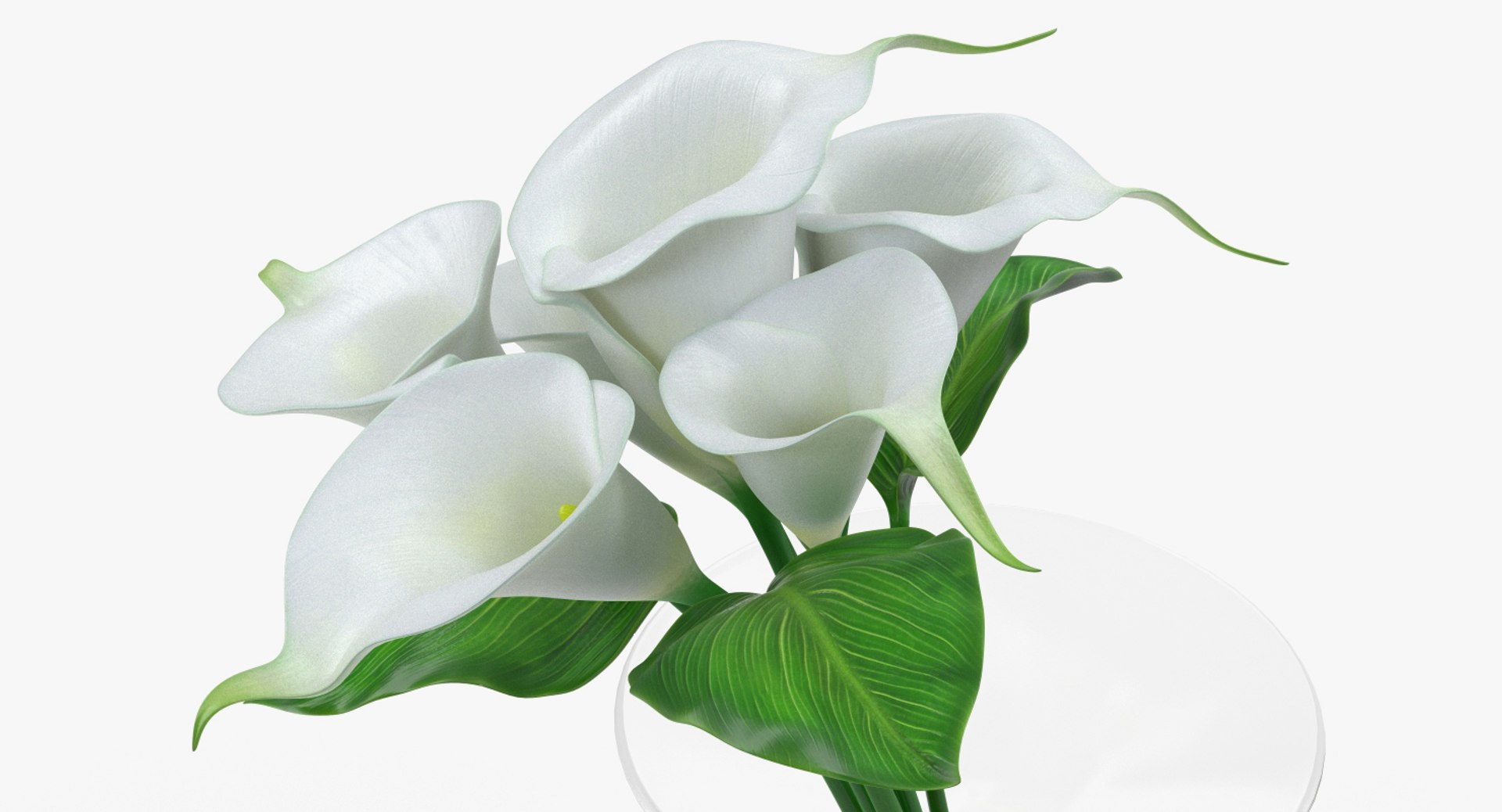 flowers vases 3 model https://p.turbosquid.com/ts-thumb/n2/beFfys/iAWPo28r/flowersinvasescollection33dmodel028/jpg/1600060794/1920x1080/fit_q87/4bd28cf0a664a3b71bf969056b9f173e3bcb4172/flowersinvasescollection33dmodel028.jpg