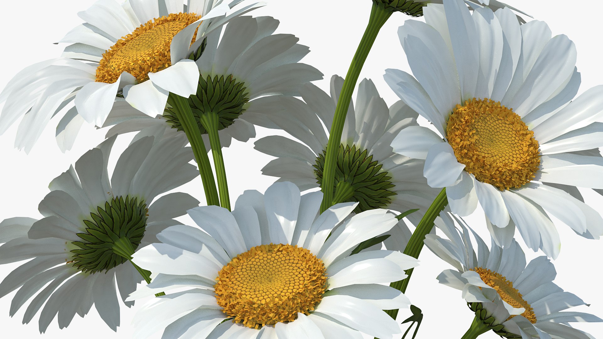 flowers vases 3 model https://p.turbosquid.com/ts-thumb/n2/beFfys/kk6MCDKW/flowersinvasescollection33dmodel009/jpg/1600060746/1920x1080/fit_q87/8b61805f1f5327e0eb889617287dca53854a1f05/flowersinvasescollection33dmodel009.jpg
