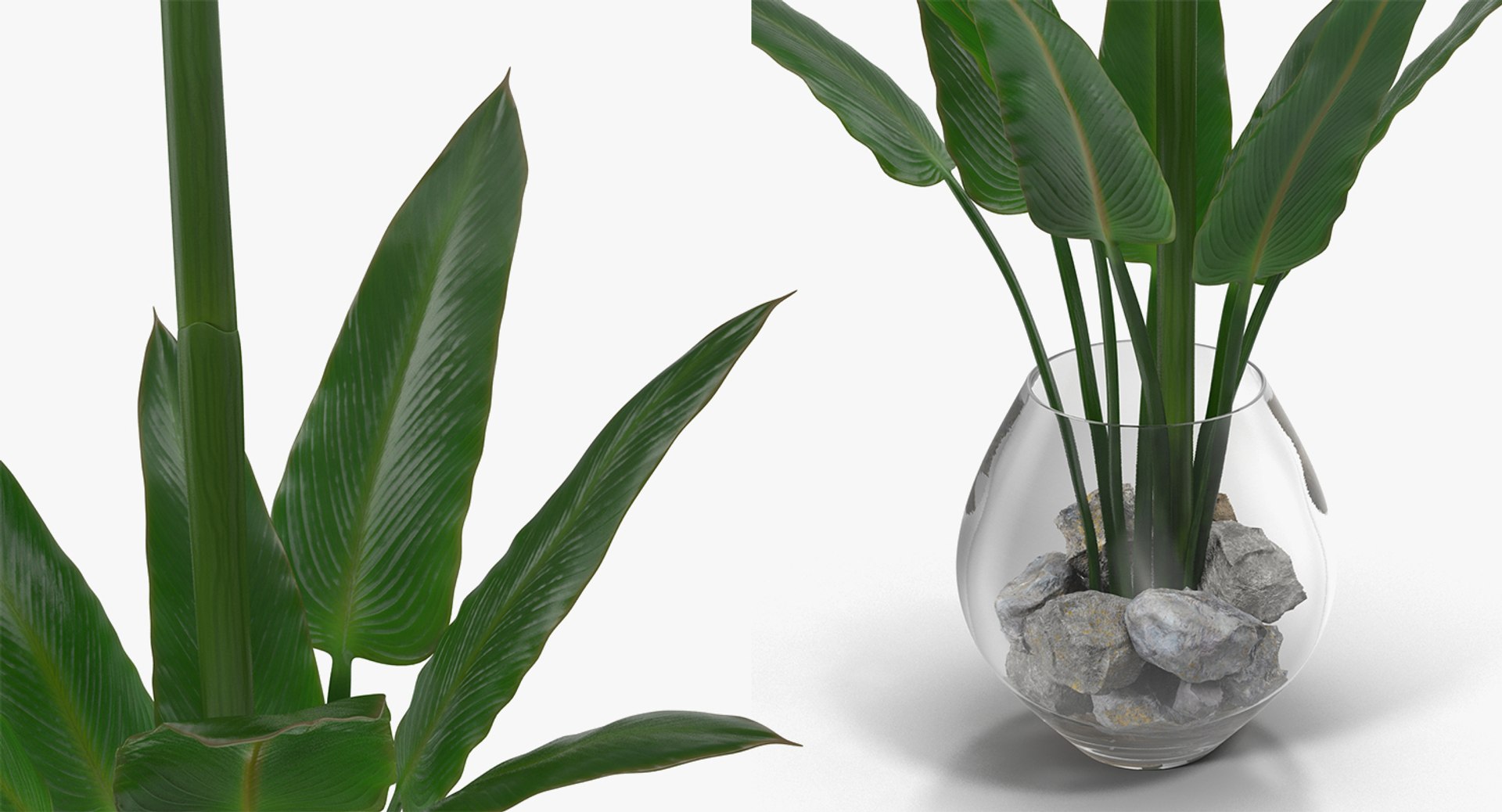 flowers vases 3 model https://p.turbosquid.com/ts-thumb/n2/beFfys/lLCHvHmm/flowersinvasescollection33dmodel068/jpg/1600060897/1920x1080/fit_q87/f2273dc463c9da11eed2433096c5305943e09cd1/flowersinvasescollection33dmodel068.jpg