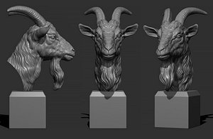 3D Goat head bust