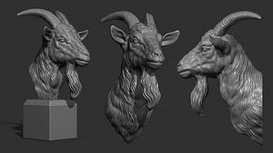 3D Goat head bust