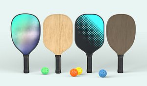 Pickleball set Paddles and Balls model