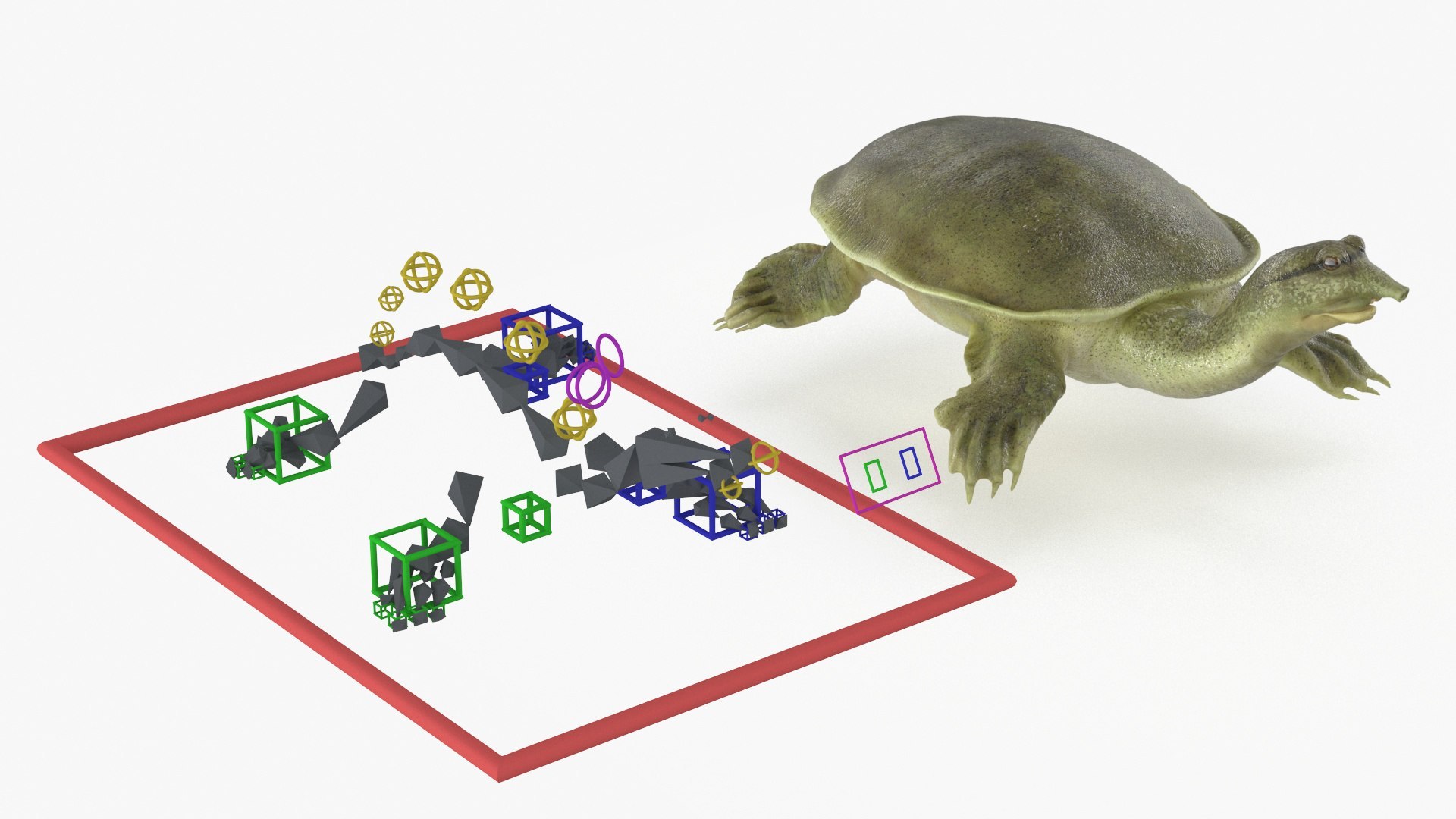 3D model Turtles Rigged Collection 2 https://p.turbosquid.com/ts-thumb/n3/Dqmtsu/BI/rigged_turtles_collection_2_025/jpg/1773320799/1920x1080/fit_q87/2b18f27a0f6c795d01b98105247bceeba82fcbdd/rigged_turtles_collection_2_025.jpg