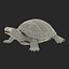 Turtles Rigged Collection 2
