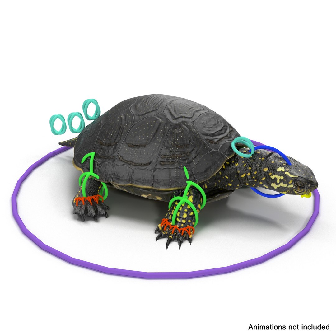 3D model Turtles Rigged Collection 2 https://p.turbosquid.com/ts-thumb/n3/Dqmtsu/gL/rigged_turtles_collection_2_018/jpg/1773320795/1920x1080/fit_q87/1842089d980fa89690fac68fc8aef499576228b5/rigged_turtles_collection_2_018.jpg
