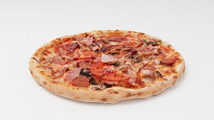 Pizza with tomatoes salamy and meat