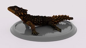 lizard soparla armadillo 3D model