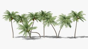 Lowpoly Coconut Palms Collection 3D model
