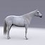 Horse White with Fur