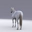 Horse White with Fur