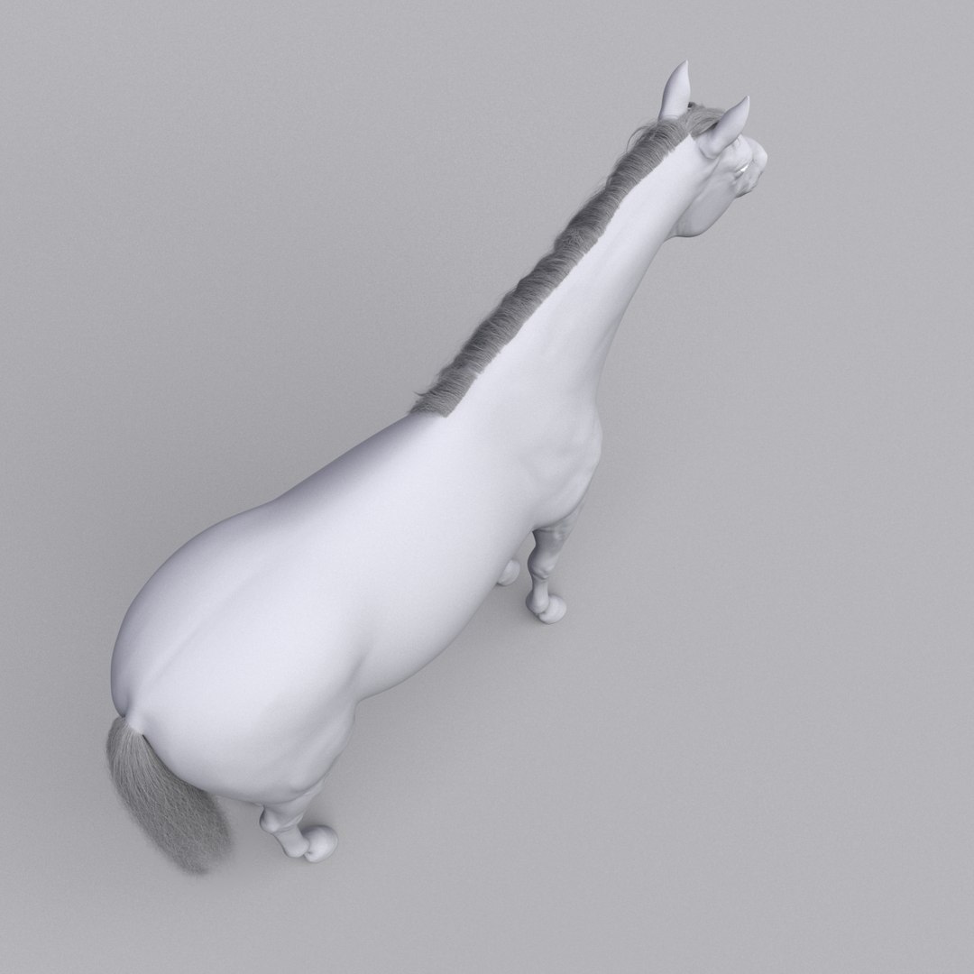 3D horse white model https://p.turbosquid.com/ts-thumb/n3/z9IROU/Cm2oLErf/top_view_grey/jpg/1593018806/1920x1080/fit_q87/7164d846302f40e8c78a91400a4ec47c90f4f338/top_view_grey.jpg