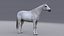 Horse White with Fur