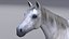 Horse White with Fur