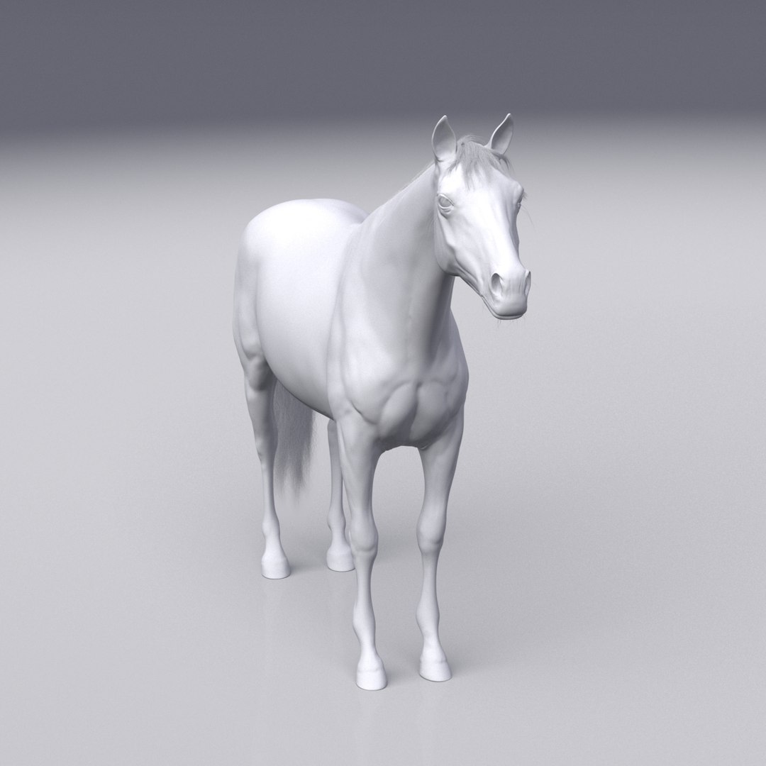 3D horse white model https://p.turbosquid.com/ts-thumb/n3/z9IROU/OUR2tMAI/3d_horse_front_grey_002/jpg/1593018805/1920x1080/fit_q87/329084b59e89edf355cf3225938053f9d9f48697/3d_horse_front_grey_002.jpg