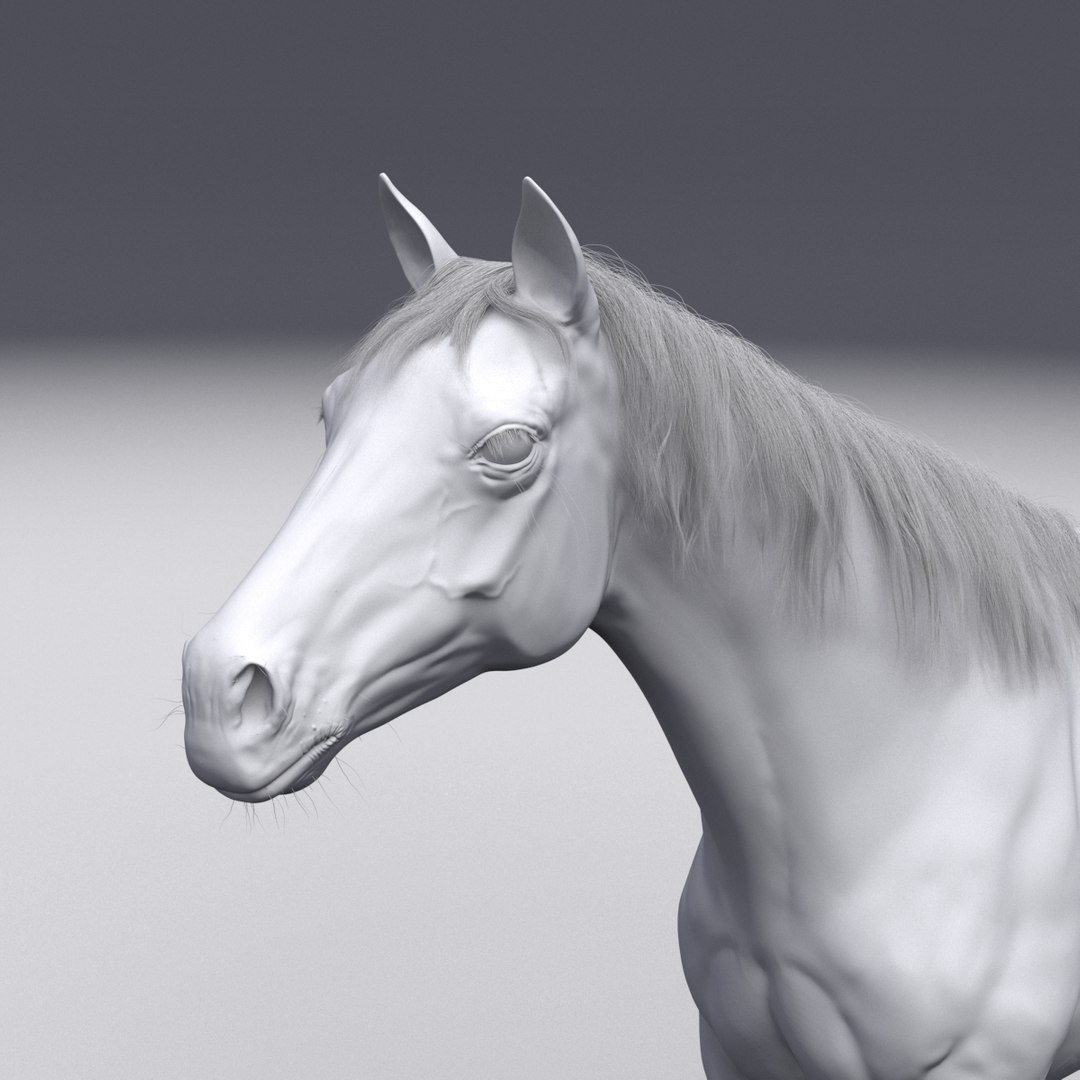 3D horse white model https://p.turbosquid.com/ts-thumb/n3/z9IROU/QmCxf420/horse_head_l_grey/jpg/1593018806/1920x1080/fit_q87/5c41bb4f8b33359e3a71d99ef008ee20b3e51ad2/horse_head_l_grey.jpg