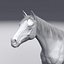 Horse White with Fur