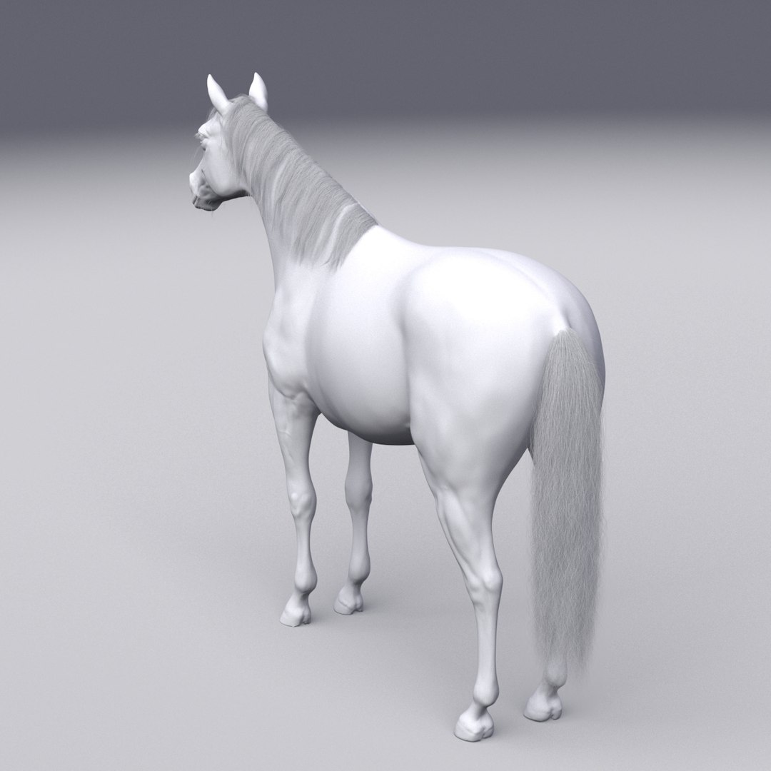 3D horse white model https://p.turbosquid.com/ts-thumb/n3/z9IROU/SGkA0d3S/3d_horse_back_grey/jpg/1593020255/1920x1080/fit_q87/ef8d85393fafff4bffd07986c1408c756a54ba99/3d_horse_back_grey.jpg