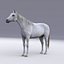Horse White with Fur