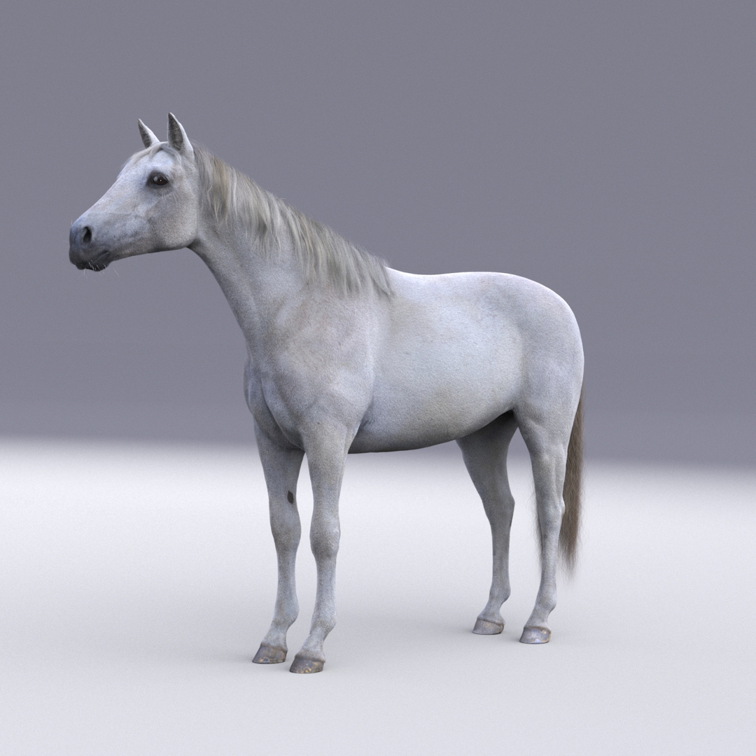 3D horse white model https://p.turbosquid.com/ts-thumb/n3/z9IROU/dFXeEEkr/horse_white/jpg/1593018542/1920x1080/turn_fit_q99/dcfc7d7b0268076a93dc3e5ac212a6ec85c97672/horse_white-1.jpg