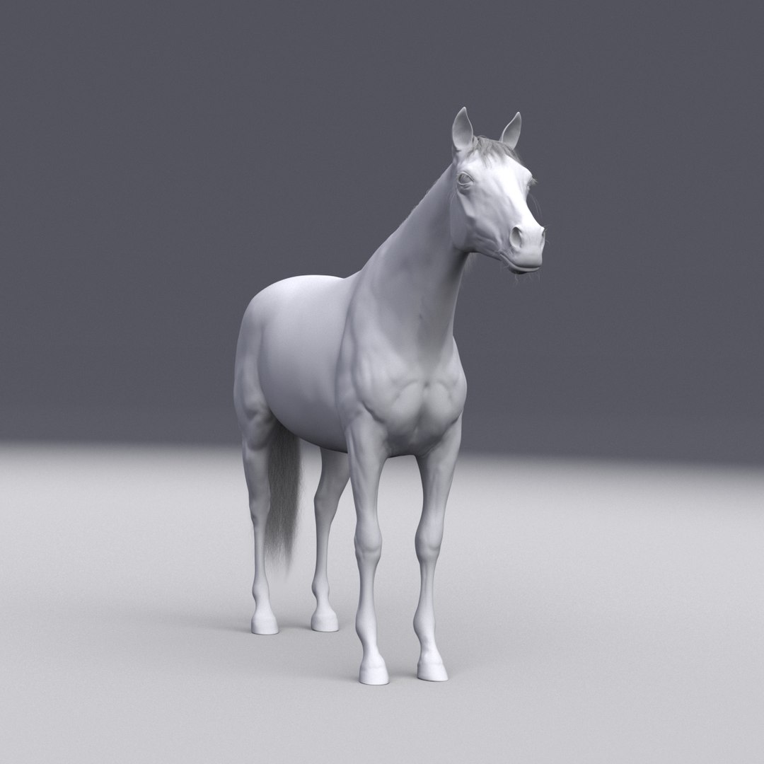 3D horse white model https://p.turbosquid.com/ts-thumb/n3/z9IROU/hPWliApT/front_grey/jpg/1593018805/1920x1080/fit_q87/23dc4ff27db56f3589f112639cd5946d2ed5d911/front_grey.jpg