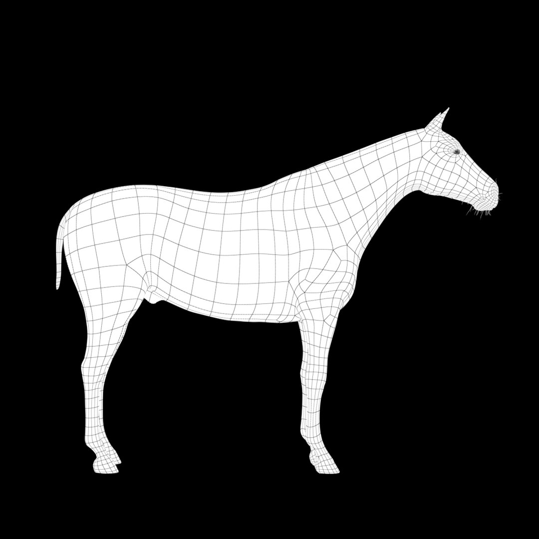 3D horse white model https://p.turbosquid.com/ts-thumb/n3/z9IROU/ogbcPQYr/3dhorse_sideb_wire/jpg/1593018943/1920x1080/fit_q87/49fe9a2730fe0beb8f3e5f80a49fa08eb0697b08/3dhorse_sideb_wire.jpg