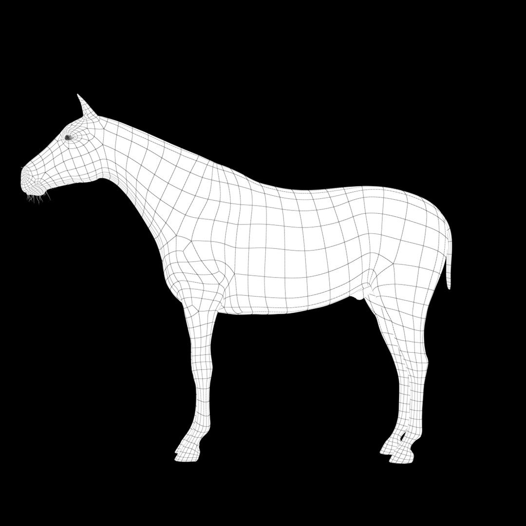 3D horse white model https://p.turbosquid.com/ts-thumb/n3/z9IROU/qwKn9HFA/3dhorse_side_wire/jpg/1593018805/1920x1080/fit_q87/ff04ef0e9f454f4f059c7b722c7f7dade91a8840/3dhorse_side_wire.jpg