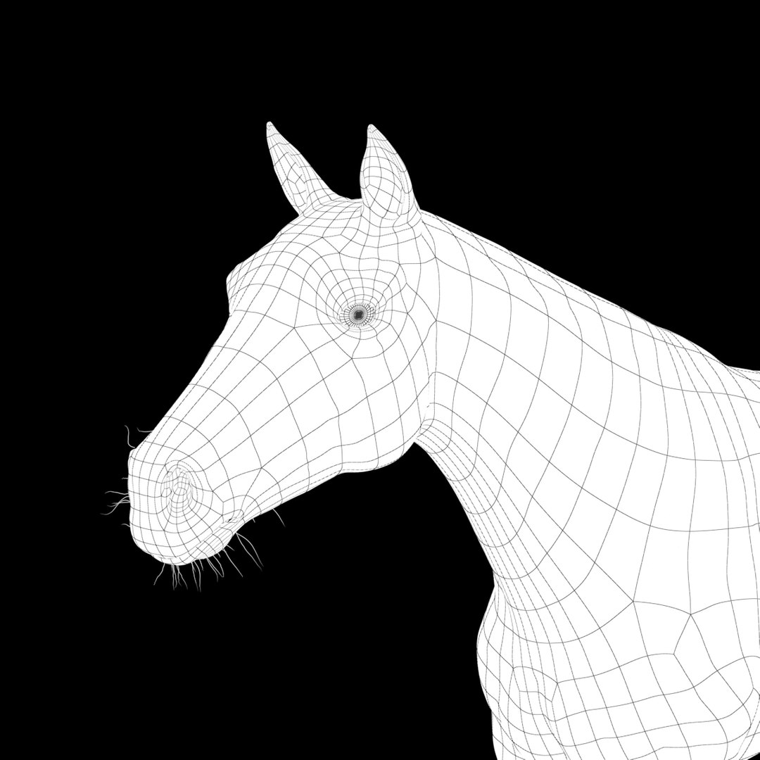 3D horse white model https://p.turbosquid.com/ts-thumb/n3/z9IROU/vQxusLSG/horse_head_l_wire/jpg/1593018806/1920x1080/fit_q87/d877a9934831b3191b616f5dcc6031d740869dad/horse_head_l_wire.jpg