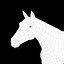 Horse White with Fur