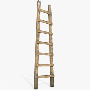 wood old ladder max