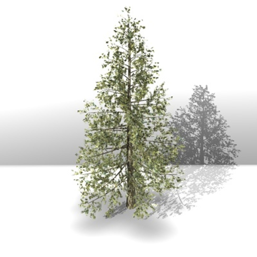 cinema4d tree works