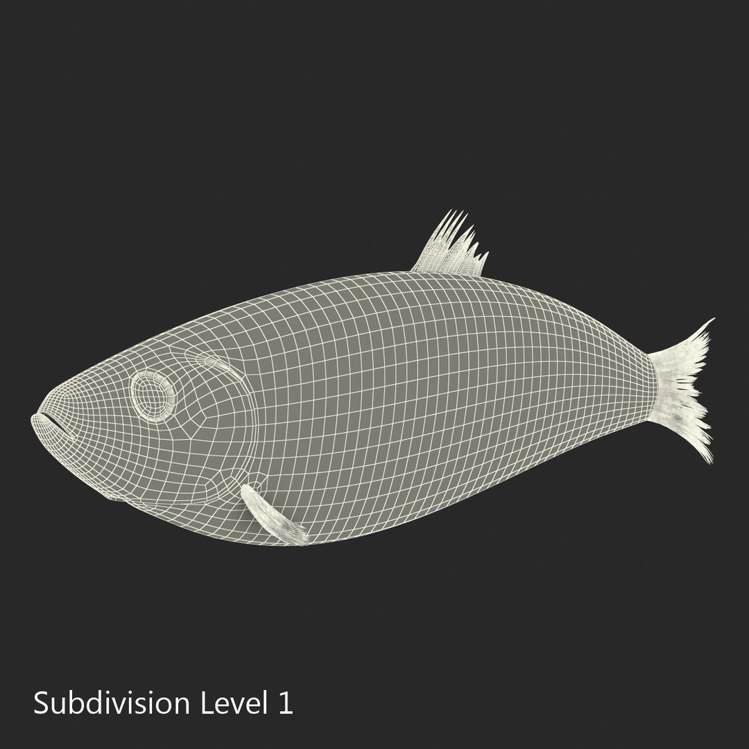 max herring fish rigged https://p.turbosquid.com/ts-thumb/n4/DV4jOY/IRJTF9bB/herringfishrigged3dmodel19/jpg/1442318416/1920x1080/fit_q87/9e6fd4edd194ed5c8993b8d6caff770be31ea61c/herringfishrigged3dmodel19.jpg