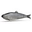 Aringhe pesce attrezzato