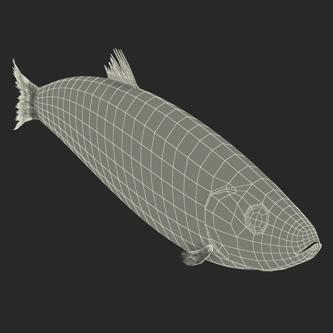 max herring fish rigged https://p.turbosquid.com/ts-thumb/n4/DV4jOY/QZAX5KX4/herringfishrigged3dmodel24/jpg/1442318416/1920x1080/fit_q87/6176fa38bd52e4e7f54032eb2d75090f0a230219/herringfishrigged3dmodel24.jpg