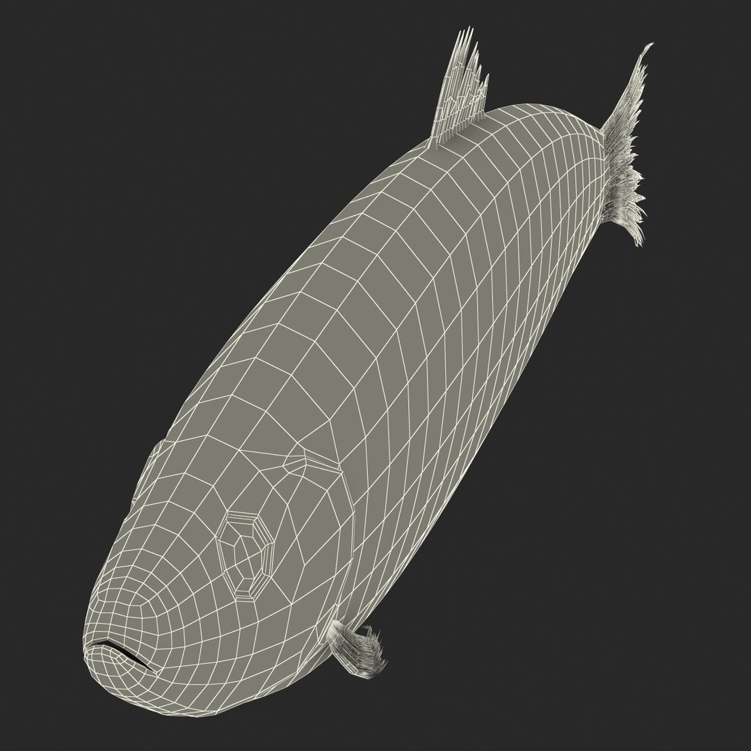 max herring fish rigged https://p.turbosquid.com/ts-thumb/n4/DV4jOY/dLRIcXni/herringfishrigged3dmodel25/jpg/1442318417/1920x1080/fit_q87/4b81d274c223a1954ef5277a91f9083c680da904/herringfishrigged3dmodel25.jpg