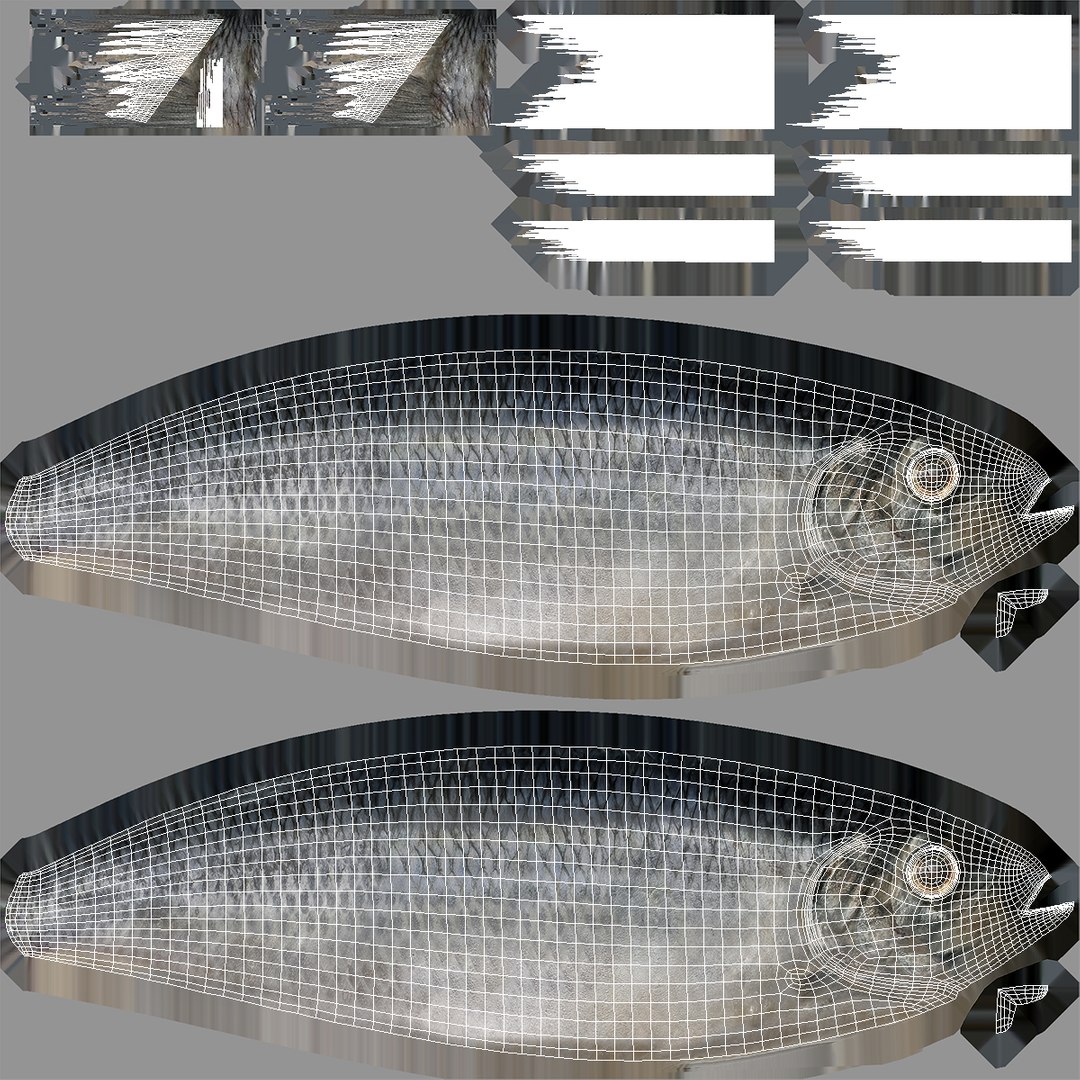 max herring fish rigged https://p.turbosquid.com/ts-thumb/n4/DV4jOY/fgbQJe4F/herringfishrigged3dmodel20/jpg/1442318416/1920x1080/fit_q87/8ab11e2d6485a1ab225d09196abcbb23733d6e42/herringfishrigged3dmodel20.jpg