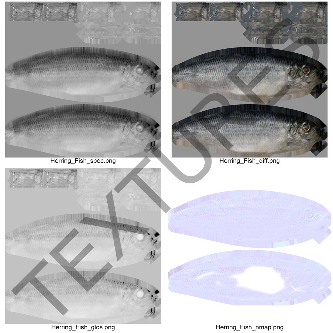 max herring fish rigged https://p.turbosquid.com/ts-thumb/n4/DV4jOY/mFIc2T5I/herringfishrigged3dmodel21/jpg/1442318416/1920x1080/fit_q87/26a9b92abd9084150777118943445d8c63af854e/herringfishrigged3dmodel21.jpg