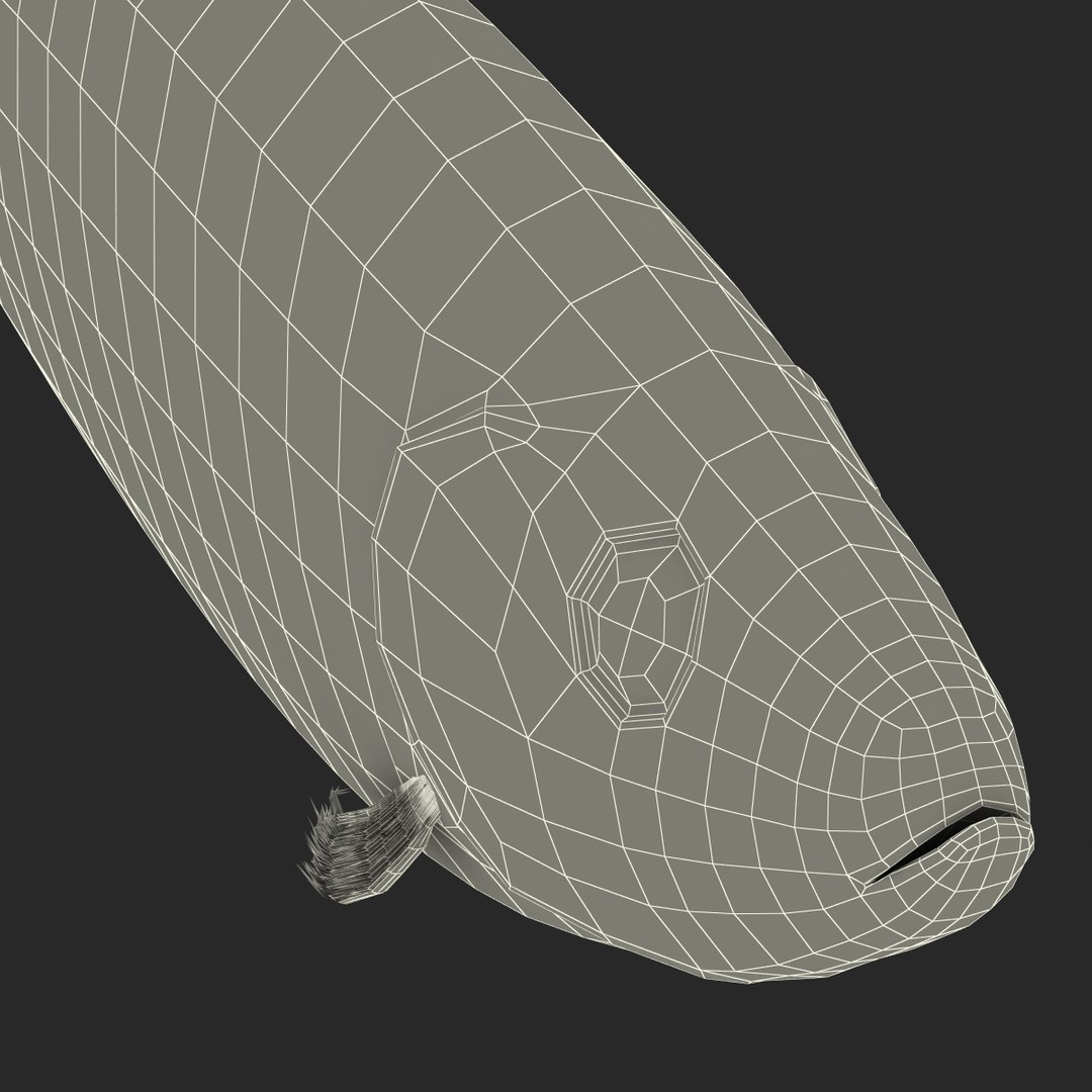 max herring fish rigged https://p.turbosquid.com/ts-thumb/n4/DV4jOY/vtfCcbia/herringfishrigged3dmodel27/jpg/1442318417/1920x1080/fit_q87/c750f79604cbd8184116428ba5d330510ba67530/herringfishrigged3dmodel27.jpg
