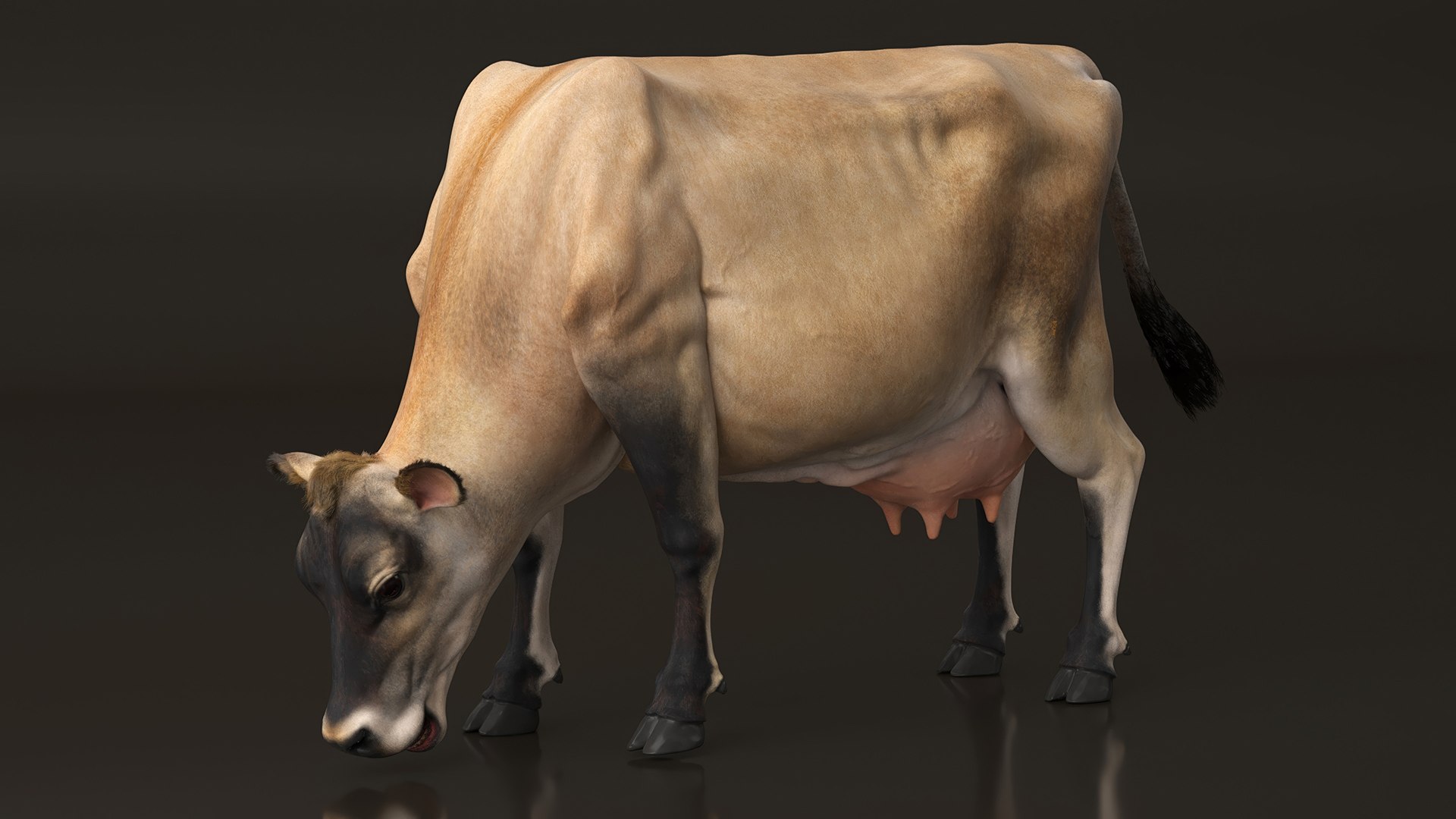 Cream Cow Fur Rigged Model - TurboSquid 2310156