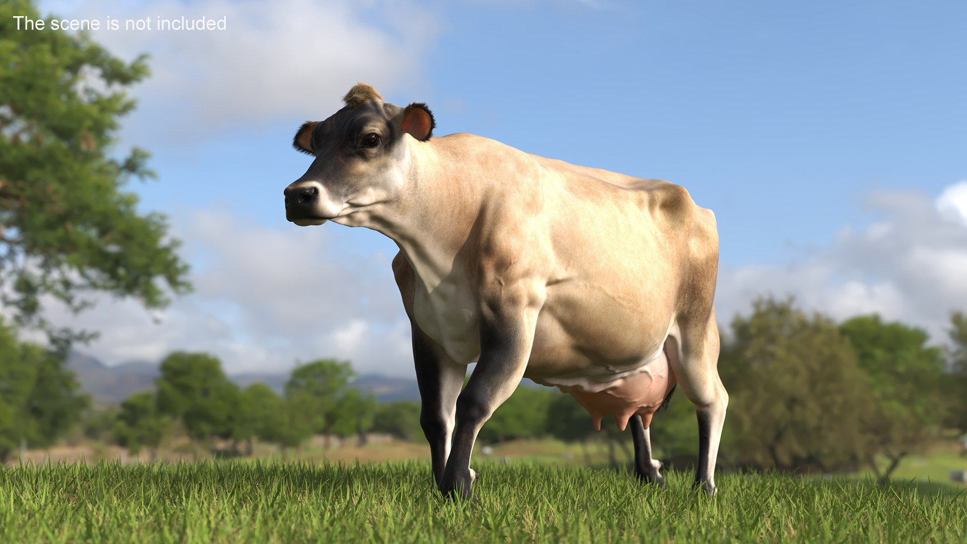 Cream Cow Fur Rigged Model - TurboSquid 2310156