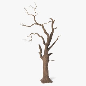 spooky tree model
