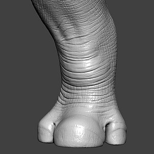 Rhino Front Leg Highpoly Sculpt 3D model