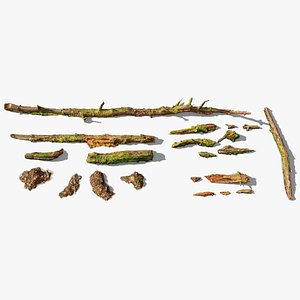Forest Branches Debris Leaves Scan 3D