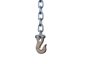 Chain and Crane Hook