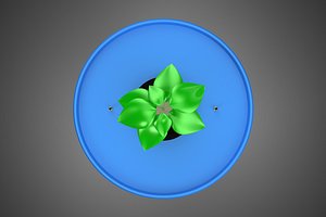 HYDROPONIC AEROPONIC PLANT GROW MEDIUM MEDIA DUTCH BUCKET SYSTEM 3D model