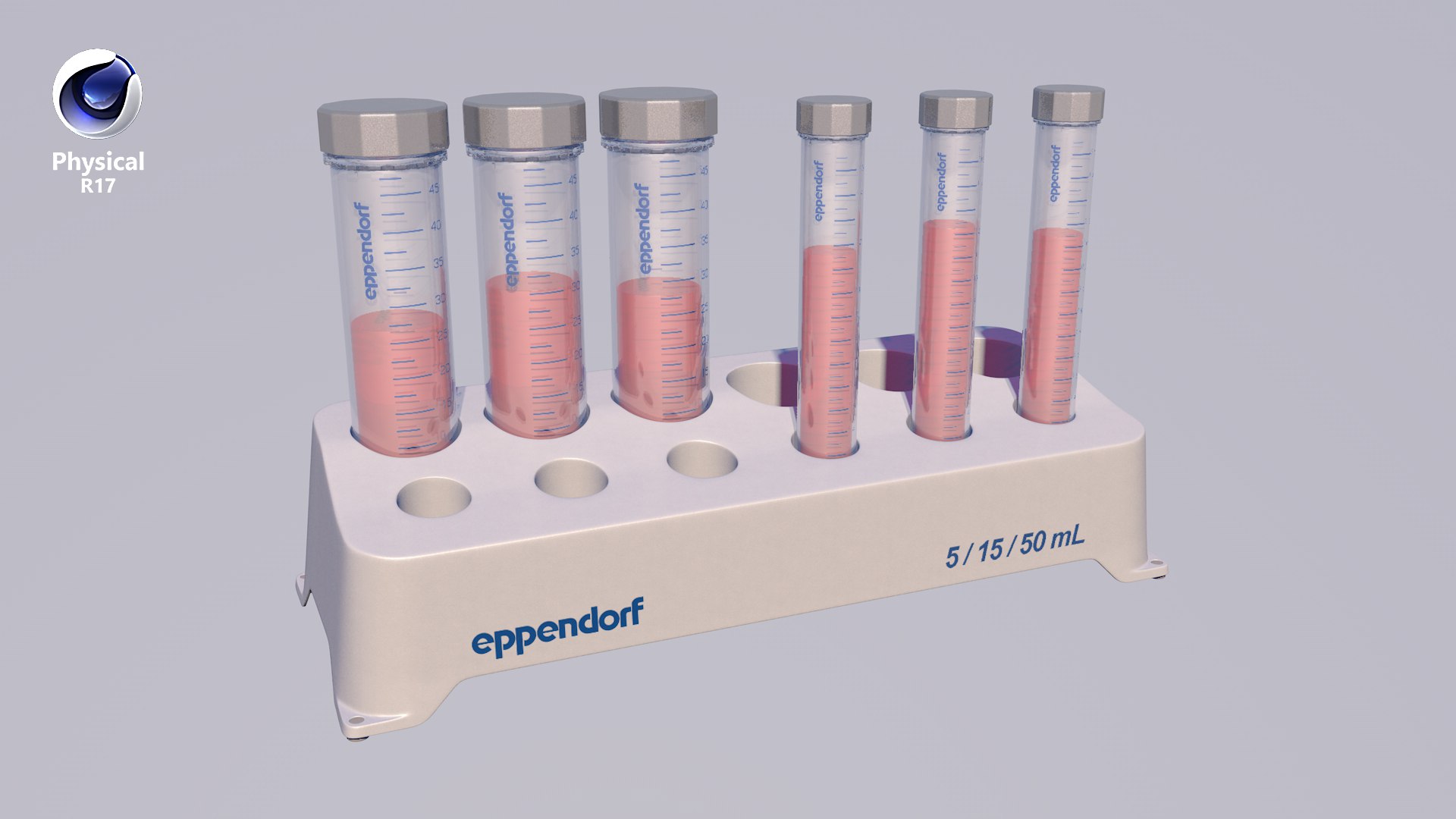 3D Model Eppendorf Tube Rack 5 - TurboSquid 1457997