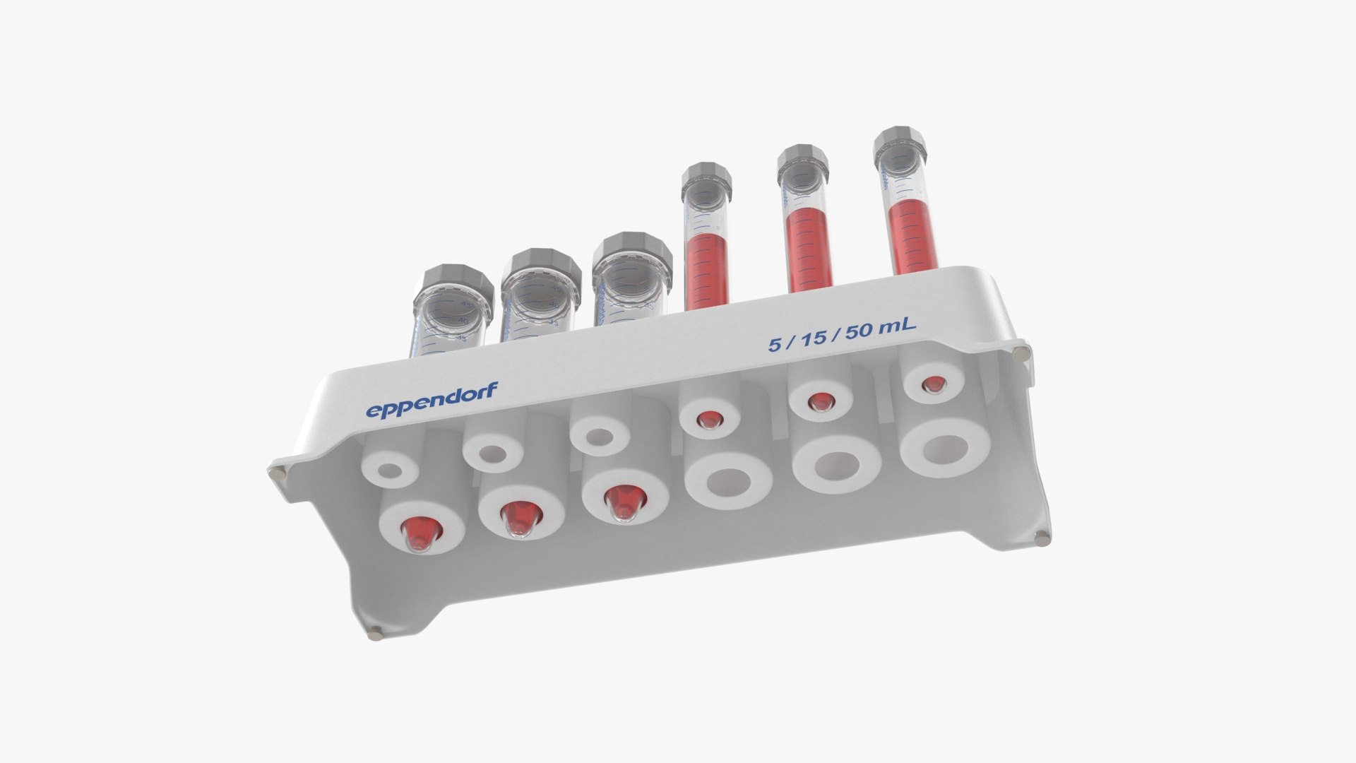 3D Model Eppendorf Tube Rack 5 - TurboSquid 1457997