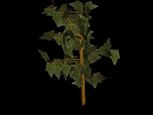 tree.max